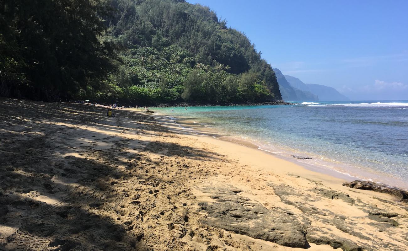 Ke'e Beach'in fotoğrafı parlak kum yüzey ile