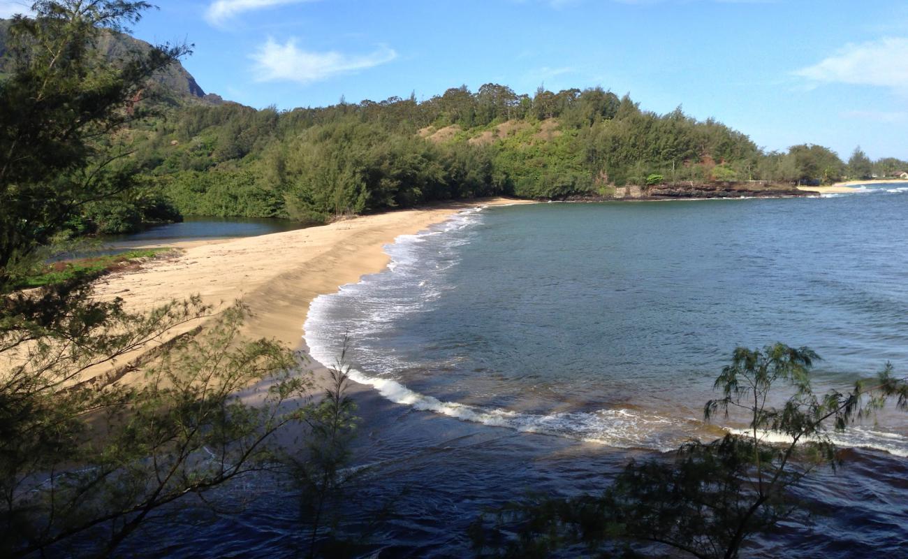 Wainiha Beach'in fotoğrafı parlak kum yüzey ile