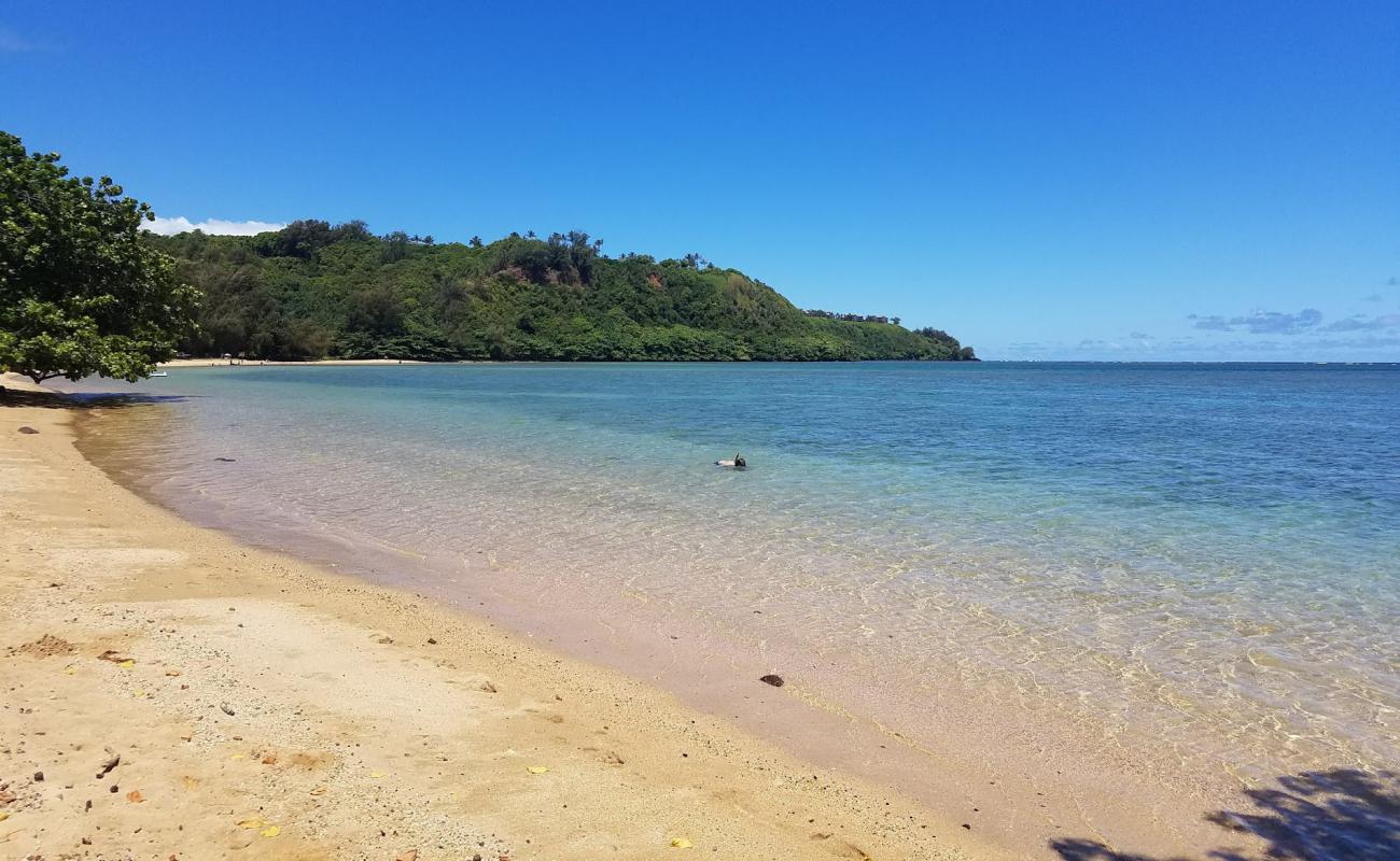 Anini Beach'in fotoğrafı parlak kum yüzey ile