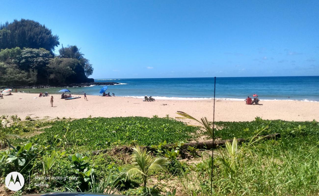 Kalihiwai Beach'in fotoğrafı parlak kum yüzey ile