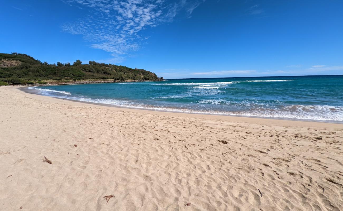 Rock Quarry Beach'in fotoğrafı parlak kum yüzey ile