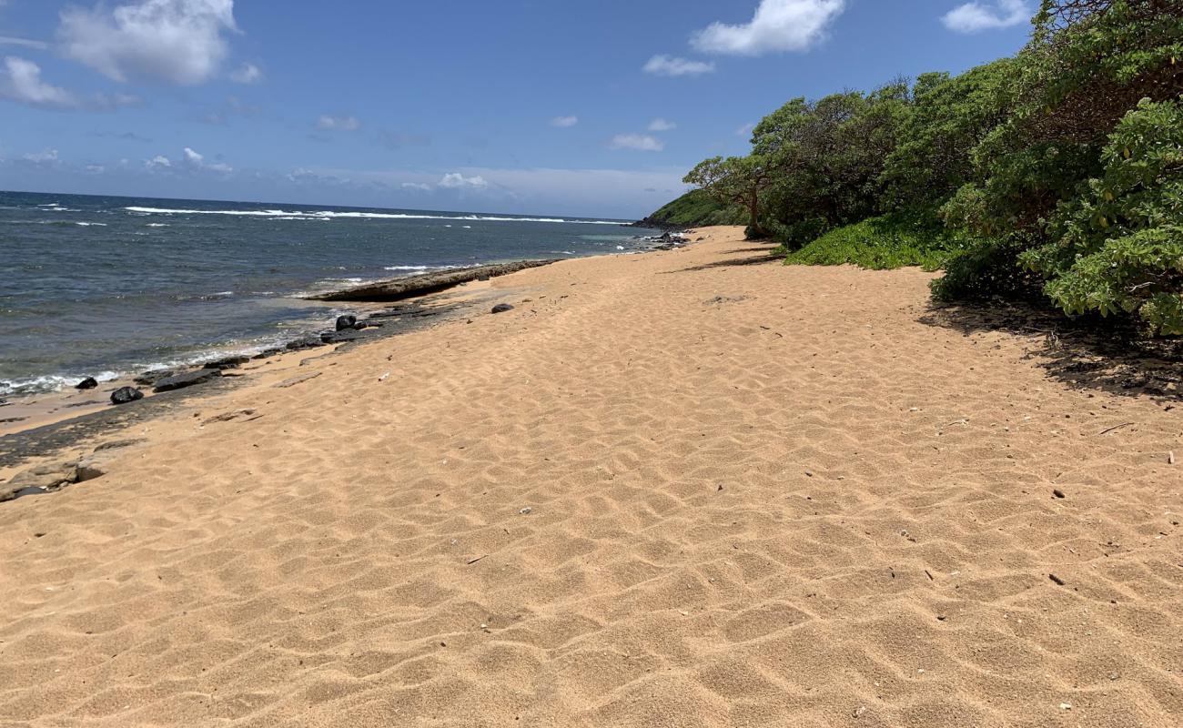 Larson's Beach'in fotoğrafı bej kum ve kayalar yüzey ile