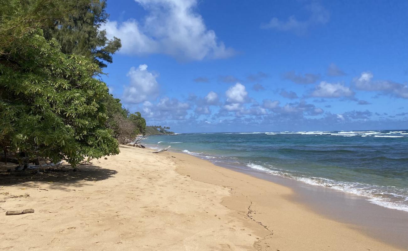 Anahola Beach II'in fotoğrafı parlak kum yüzey ile