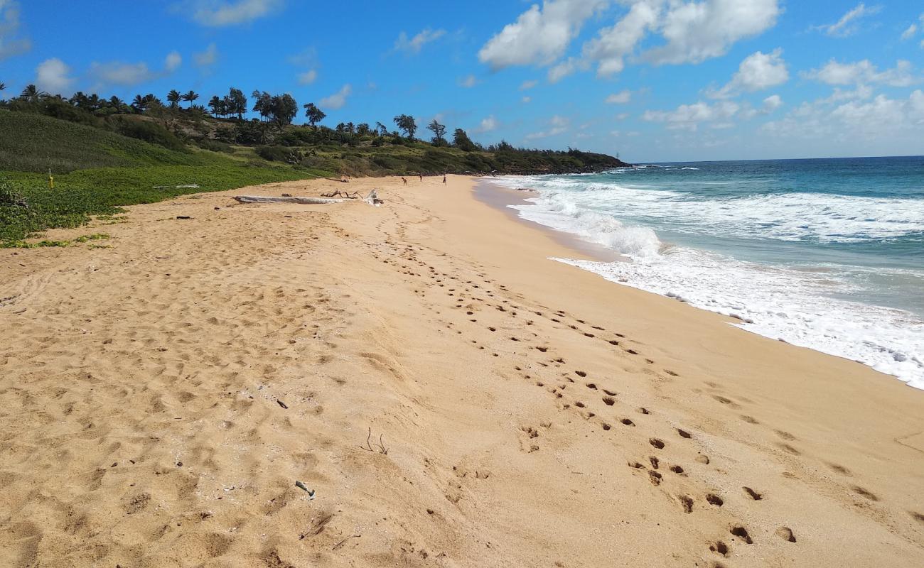 Paliku Beach'in fotoğrafı parlak kum yüzey ile