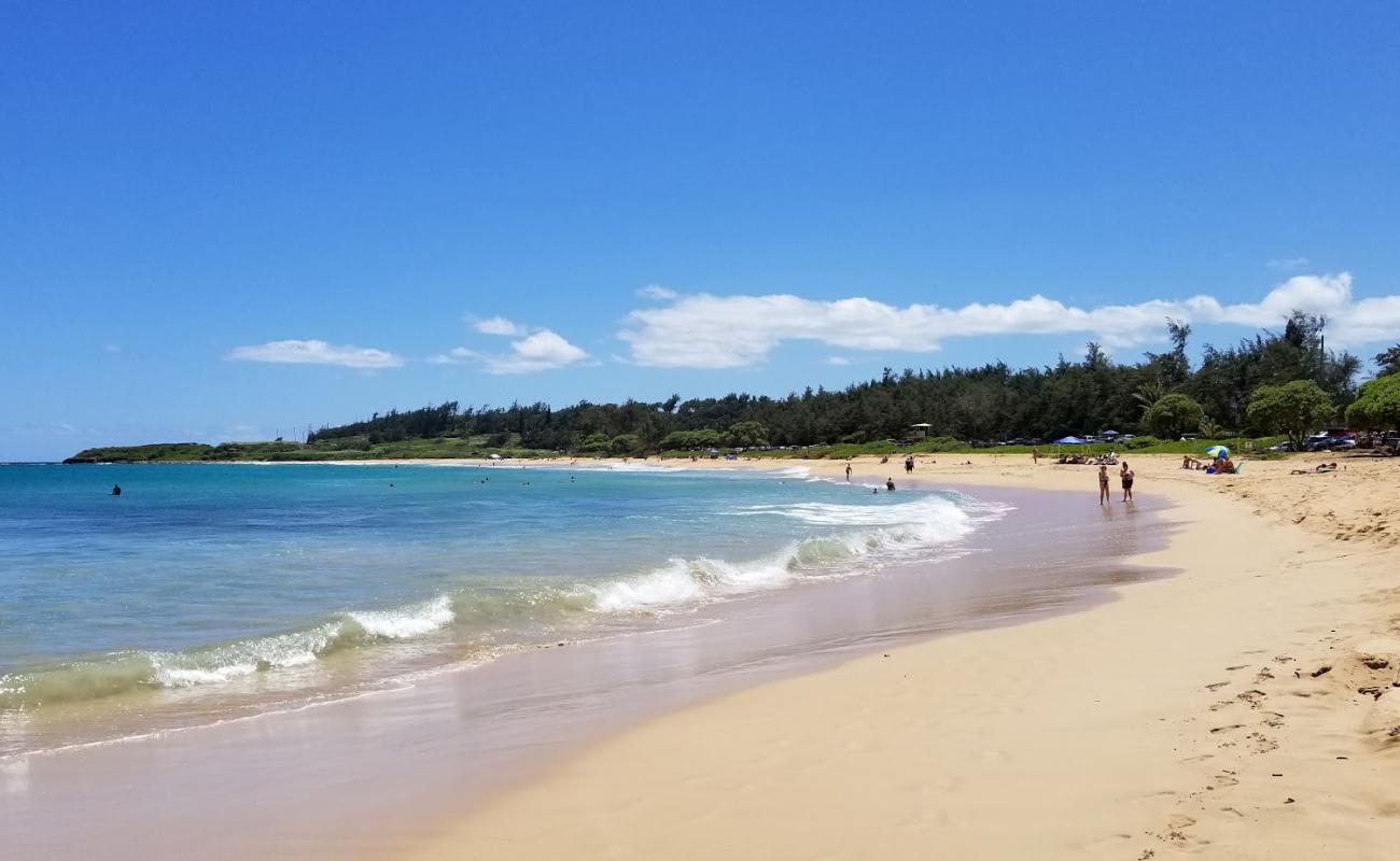 Kealia Beach'in fotoğrafı parlak kum yüzey ile