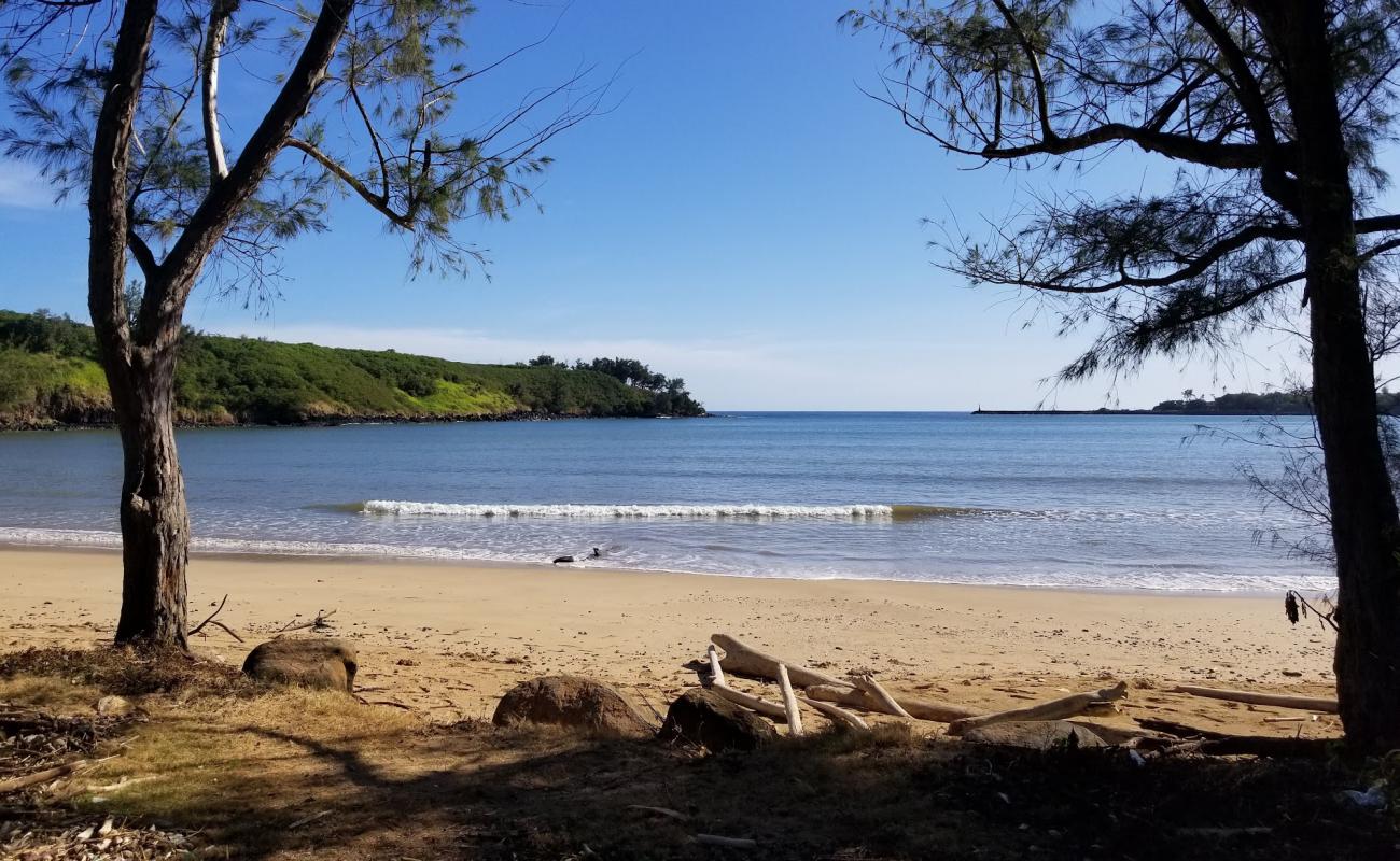 Hanamaulu Beach'in fotoğrafı parlak kum yüzey ile