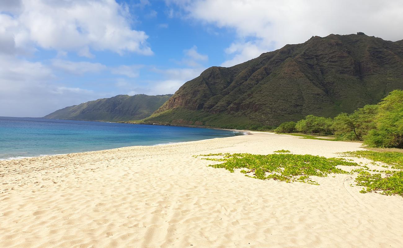 Makua Beach'in fotoğrafı açık bej kum yüzey ile