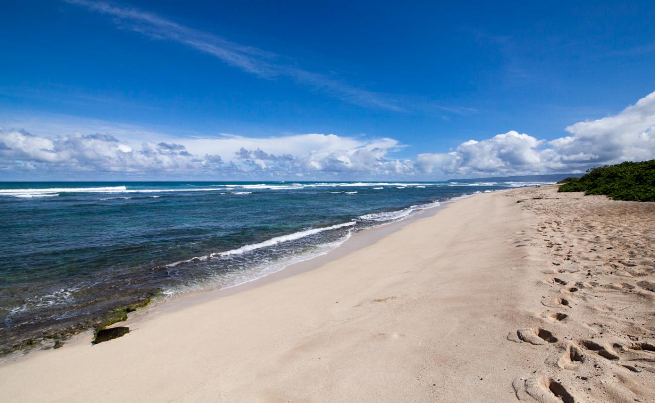 Mokule'ia Army Beach'in fotoğrafı açık bej kum yüzey ile
