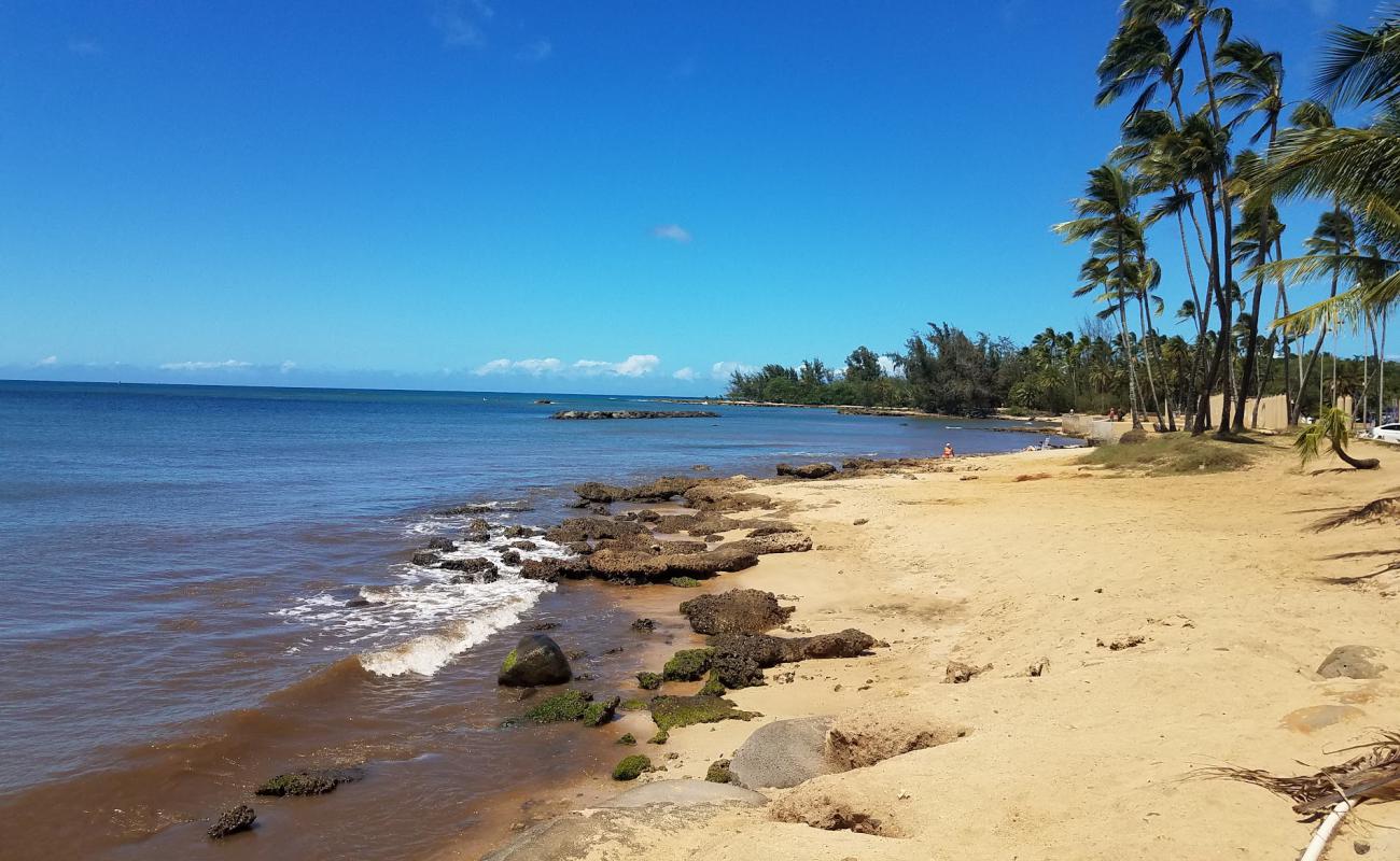 Hale'iwa Beach Park'in fotoğrafı açık bej kum yüzey ile