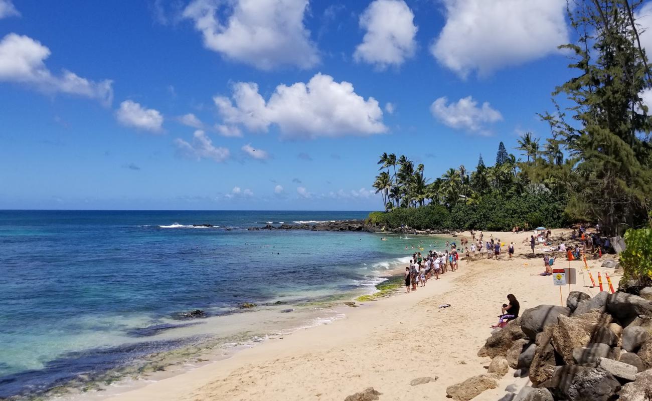 Laniakea Beach'in fotoğrafı açık bej kum yüzey ile