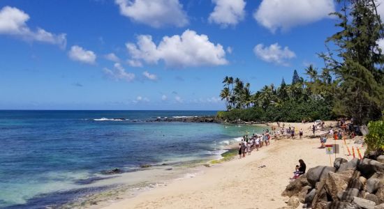 Laniakea Beach