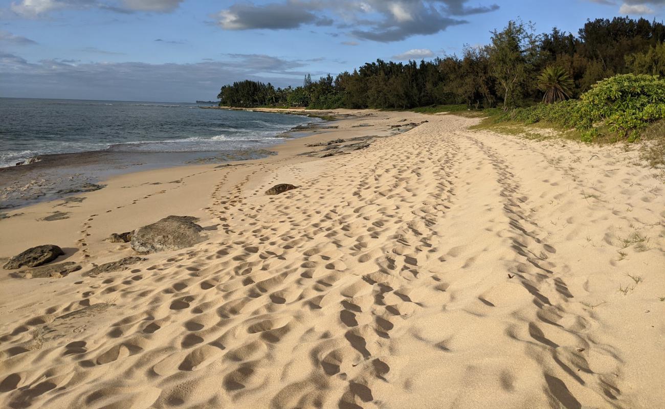 Kawailoa Beach'in fotoğrafı açık bej kum yüzey ile