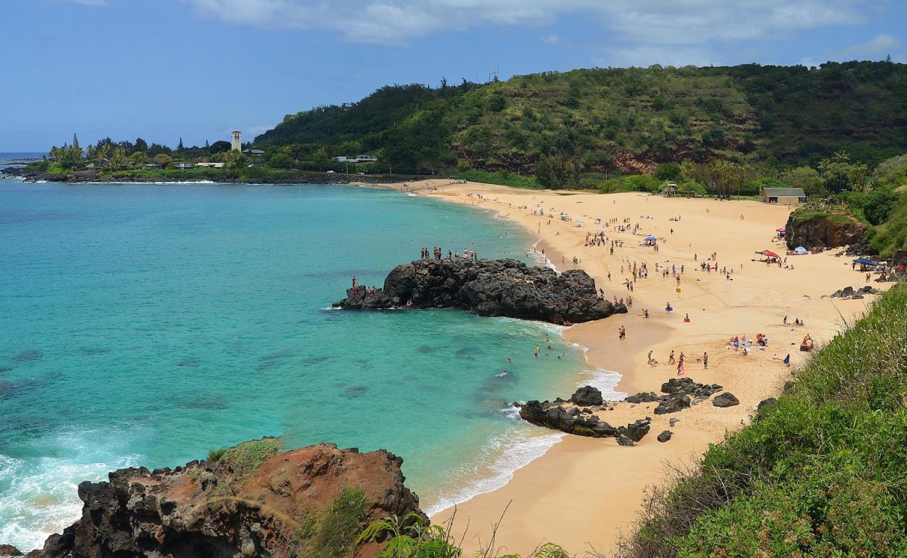 Waimea Beach'in fotoğrafı açık bej kum yüzey ile