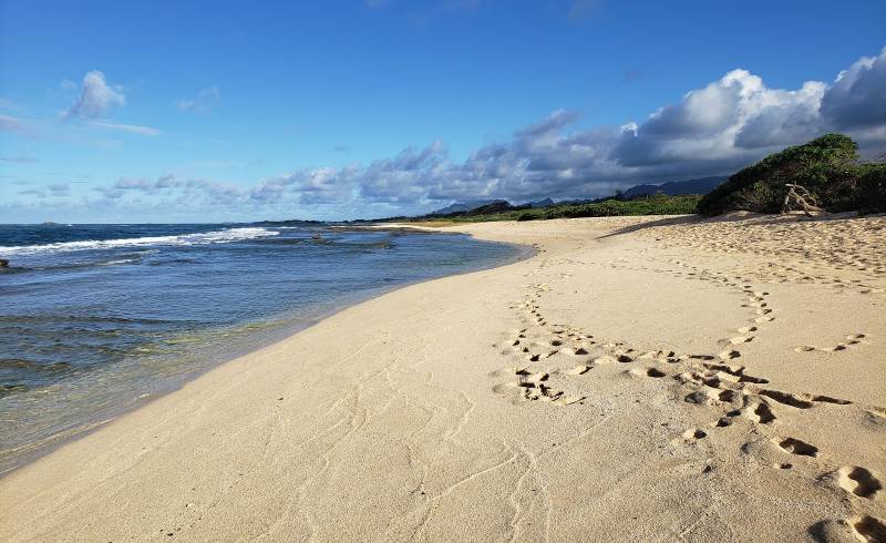 Kahuku Beach'in fotoğrafı bej kum ve kayalar yüzey ile
