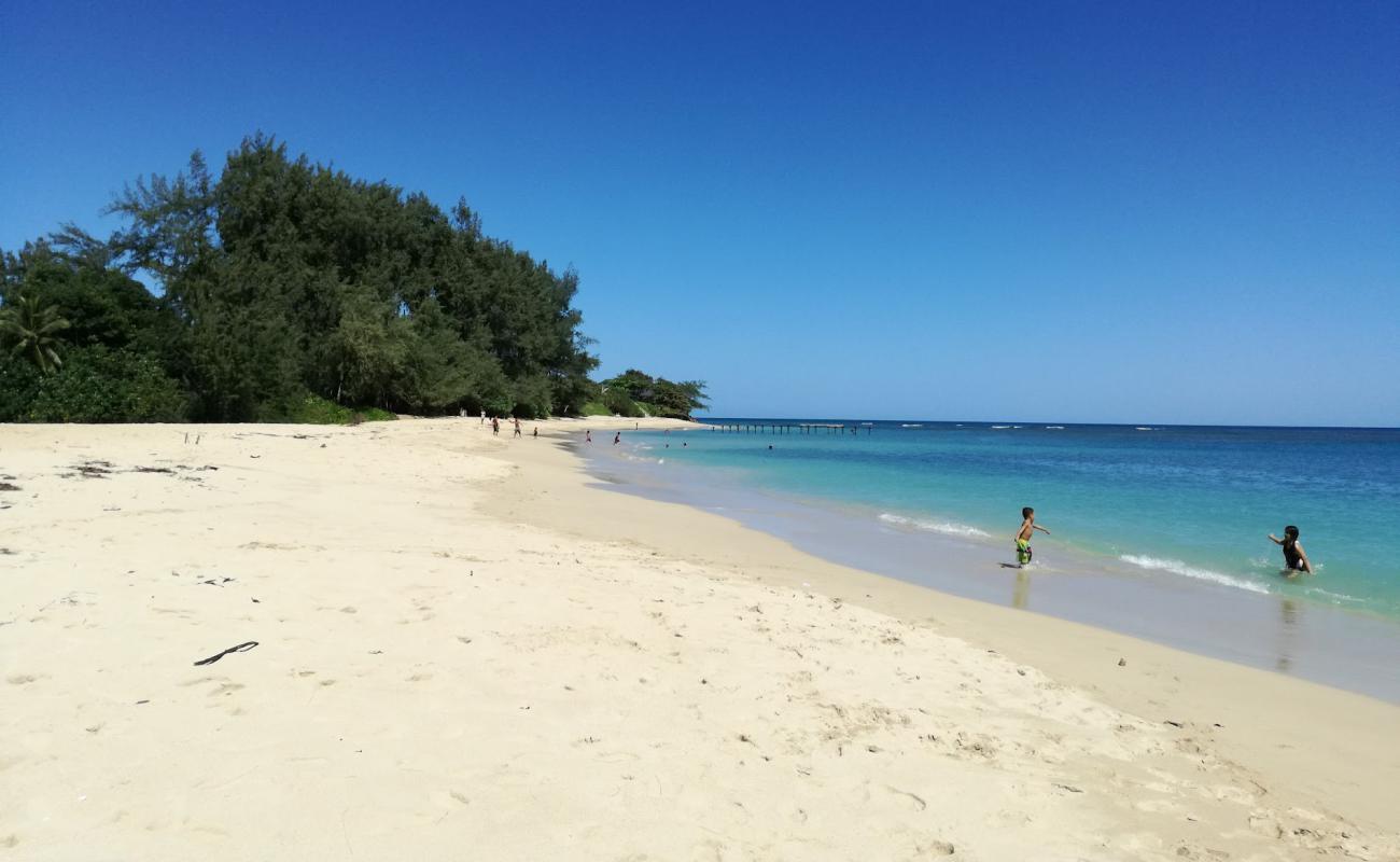 Pounder's Beach'in fotoğrafı açık bej kum yüzey ile