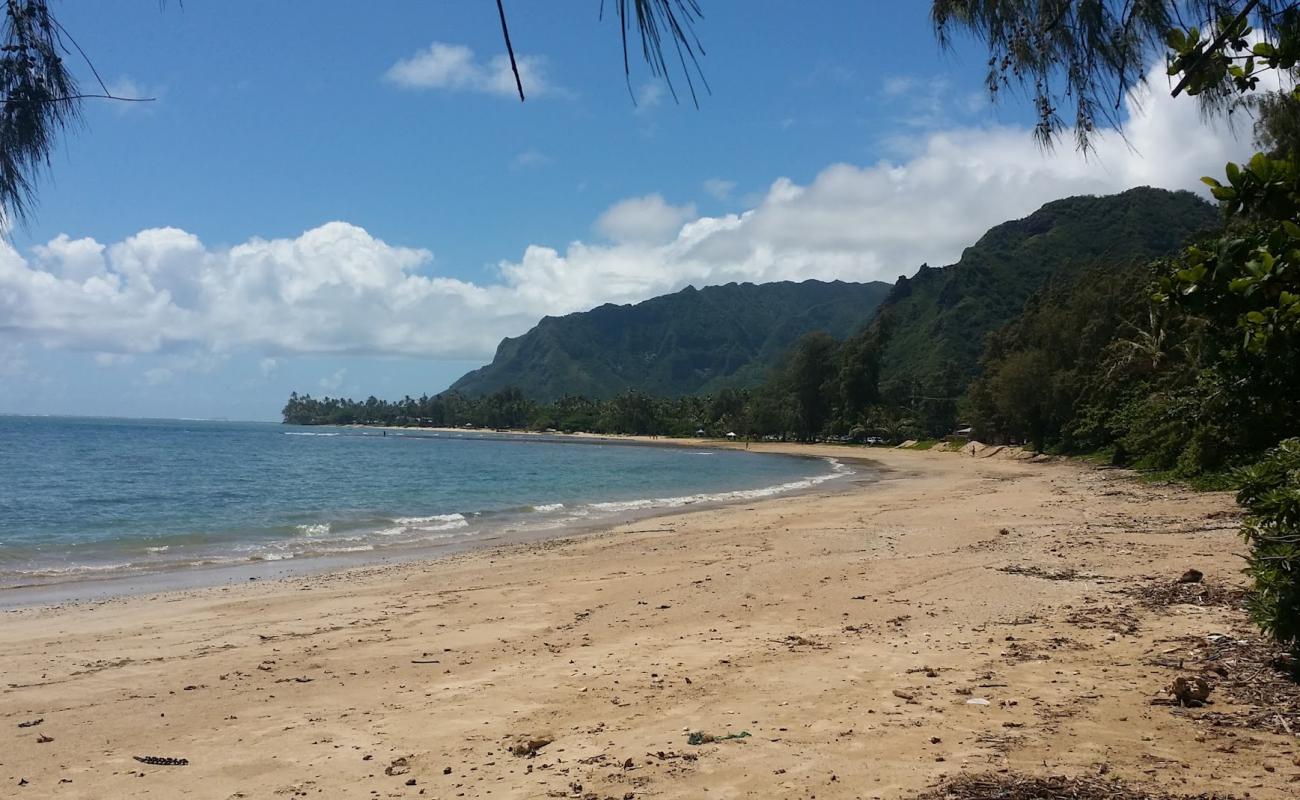 Punalu'u Beach Park'in fotoğrafı açık bej kum yüzey ile