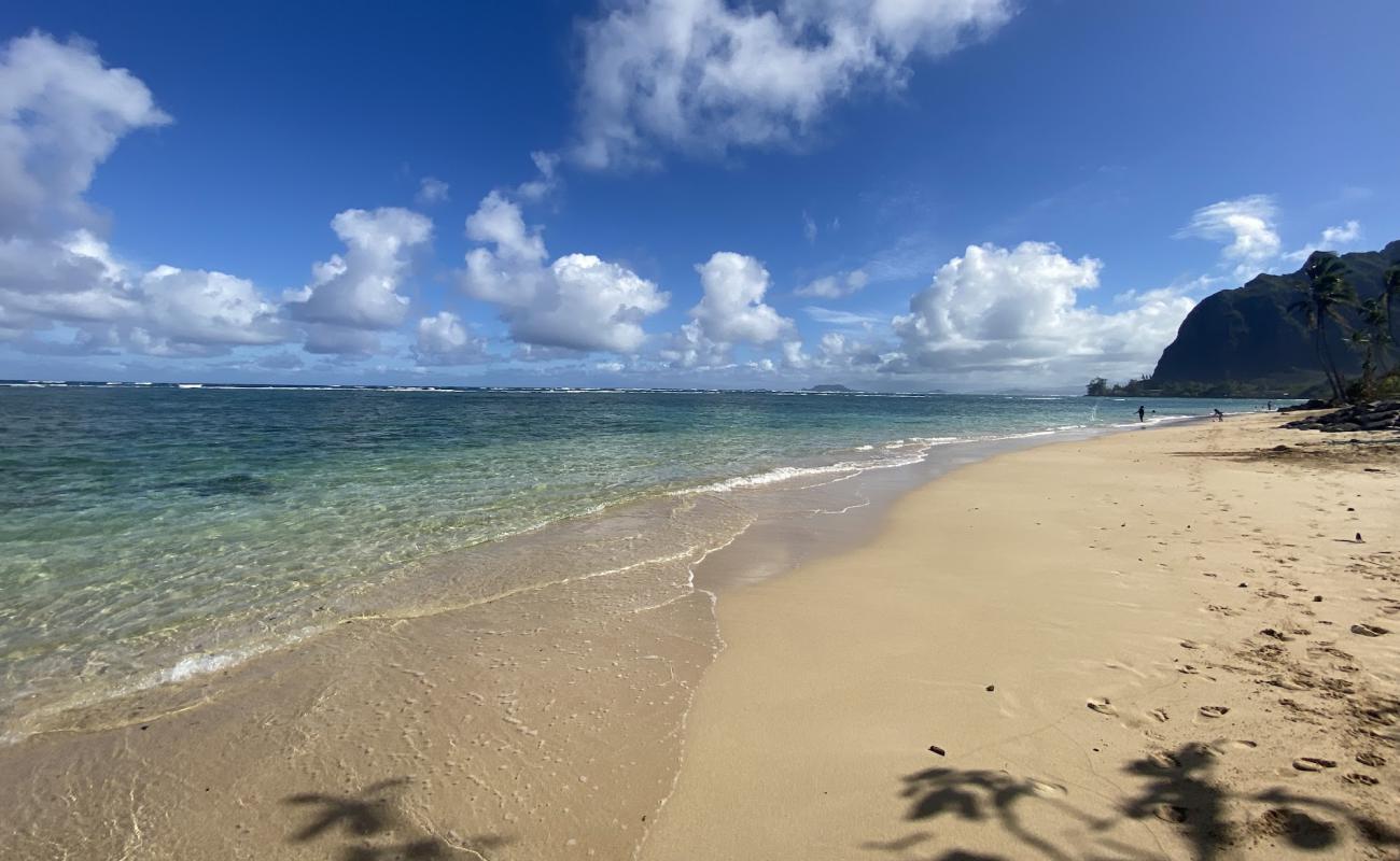 Kaaawa Beach'in fotoğrafı parlak kum yüzey ile