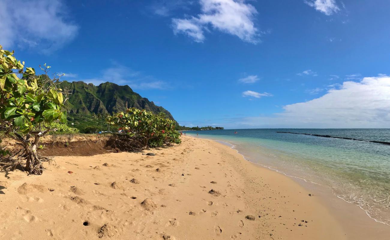 Kualoa Beach'in fotoğrafı açık bej kum yüzey ile