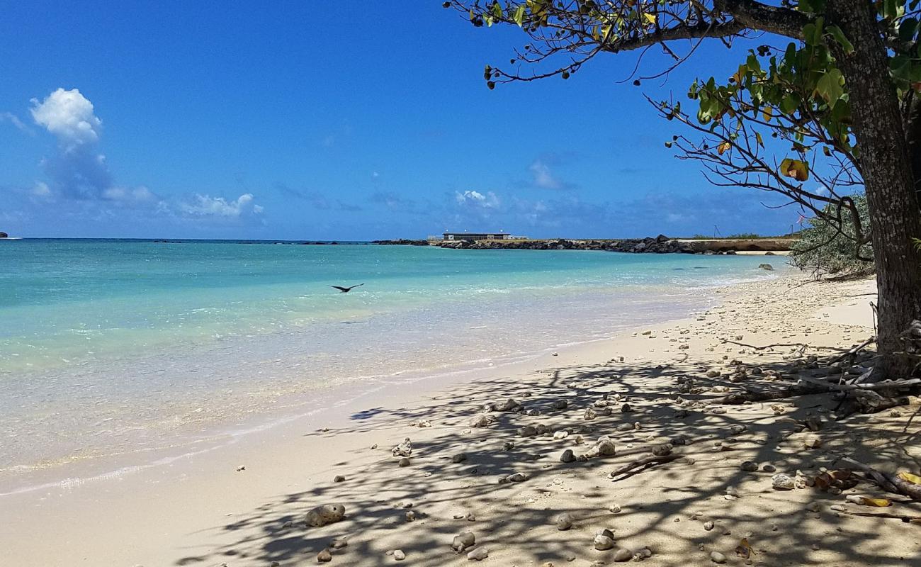 Hale Koa Beach'in fotoğrafı bej kum ve çakıl yüzey ile