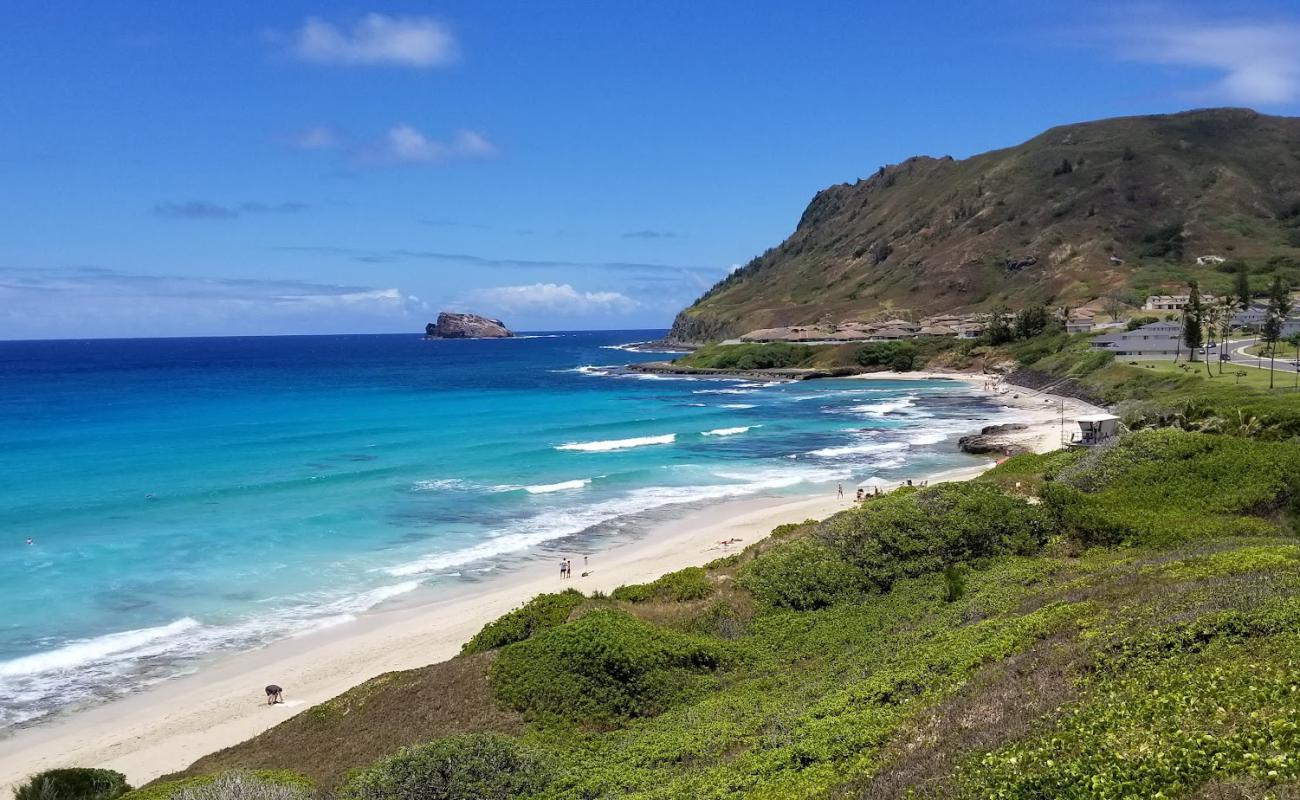 North Beach'in fotoğrafı parlak kum yüzey ile