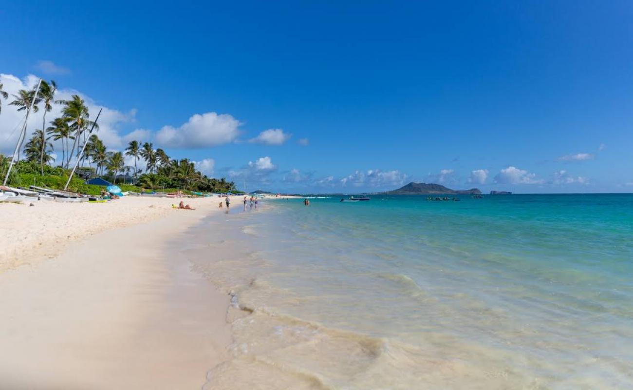 Lanikai Plajı'in fotoğrafı parlak ince kum yüzey ile