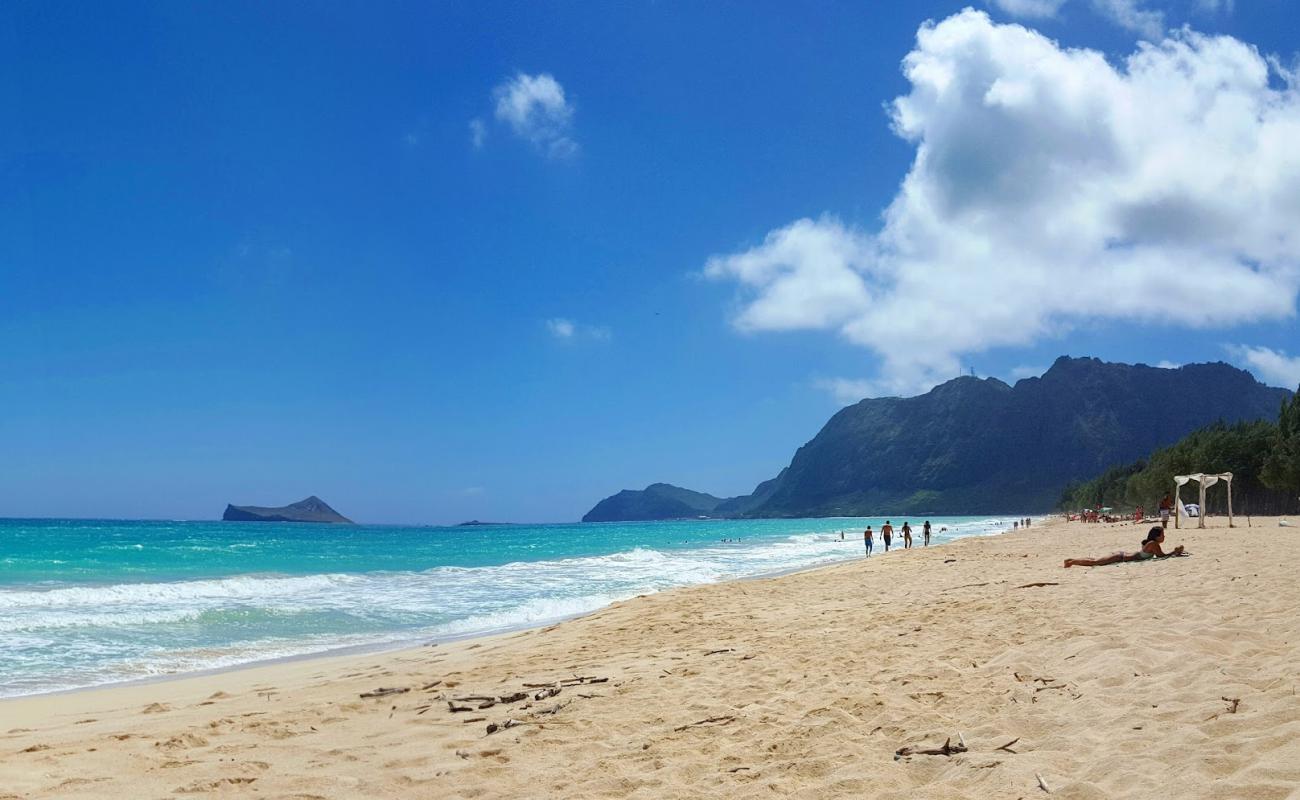 Bellow Surf Spot Beach'in fotoğrafı parlak ince kum yüzey ile