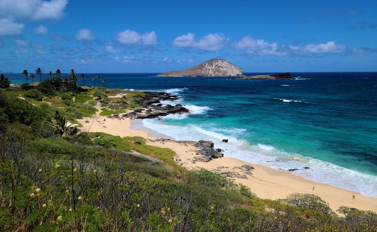 Makapuu Plajı'in fotoğrafı parlak ince kum yüzey ile