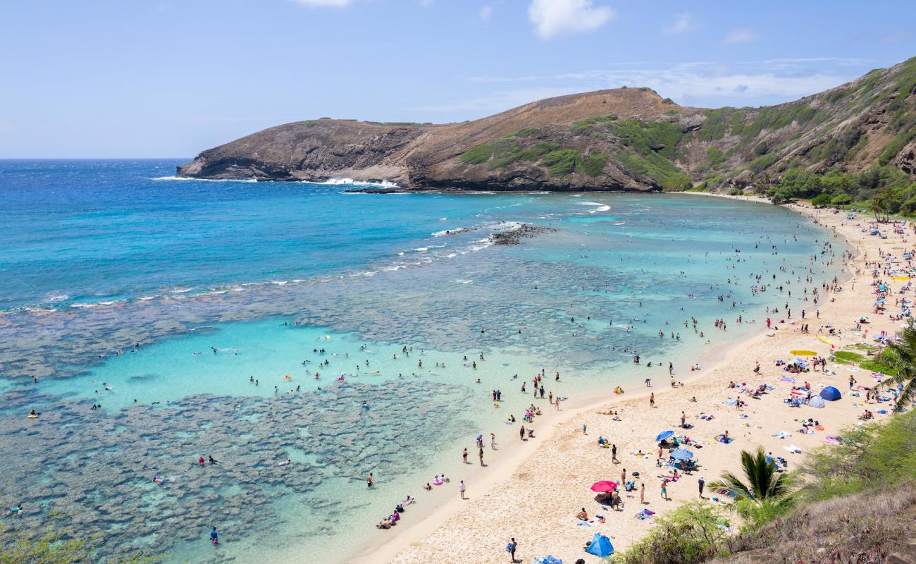 Hanauma Bay'in fotoğrafı parlak ince kum yüzey ile