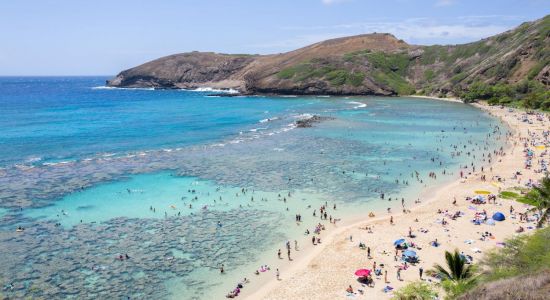 Hanauma Bay