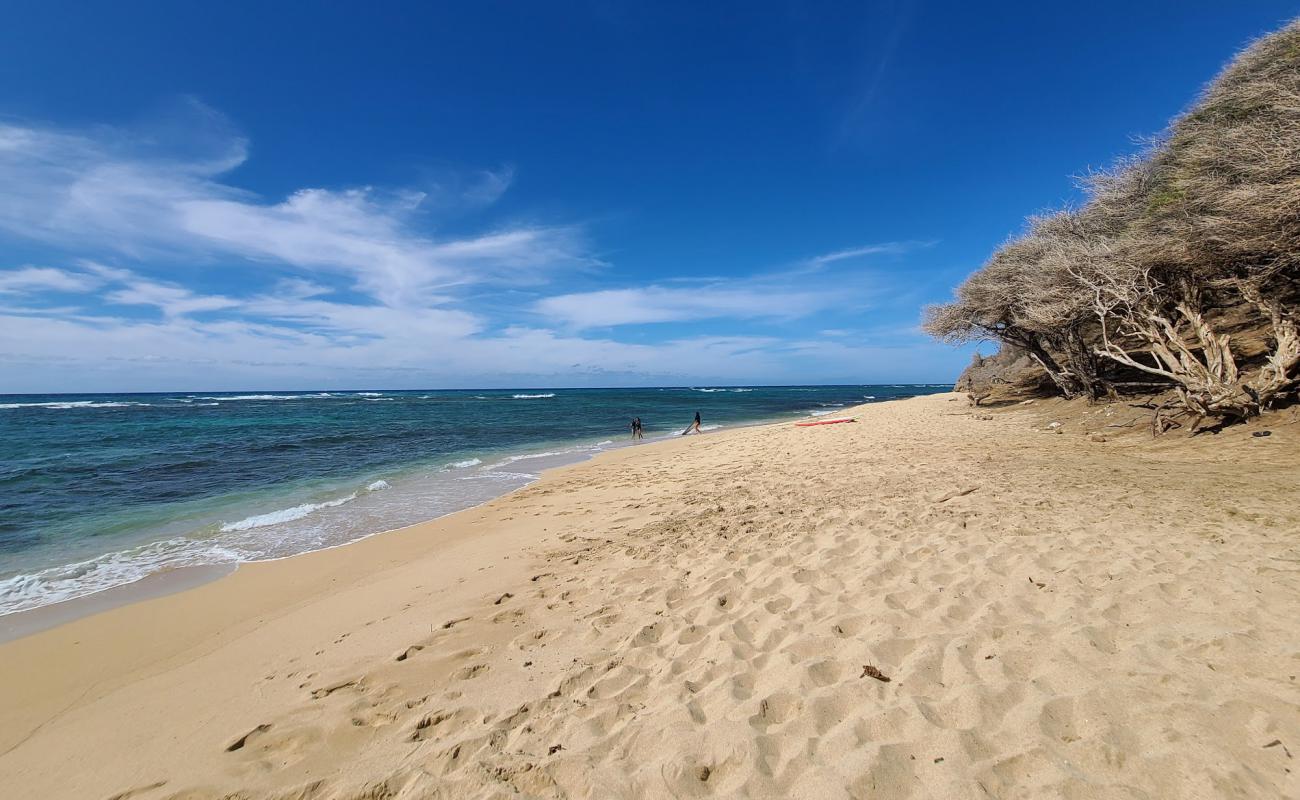 Diamond Head Beach Park'in fotoğrafı parlak kum ve kayalar yüzey ile