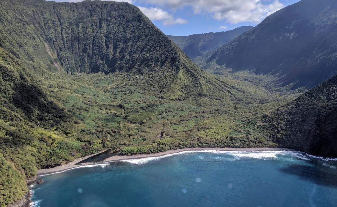 Wailau Valley Beach'in fotoğrafı taşlı kum yüzey ile