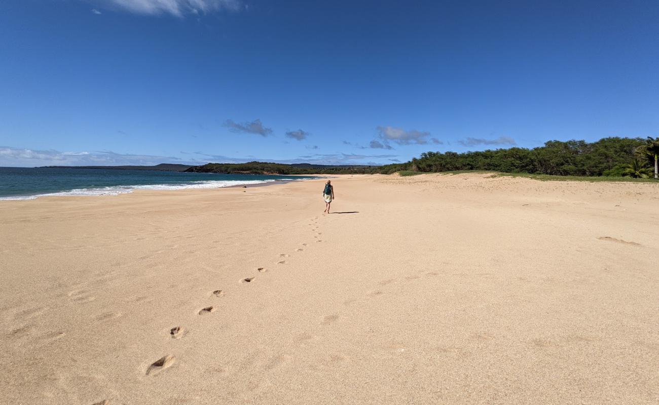 Papoeyku Beach'in fotoğrafı açık bej kum yüzey ile