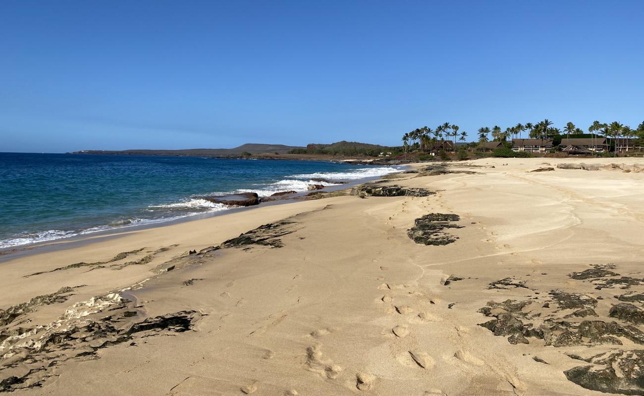 Kepuhi Beach'in fotoğrafı açık bej kum yüzey ile