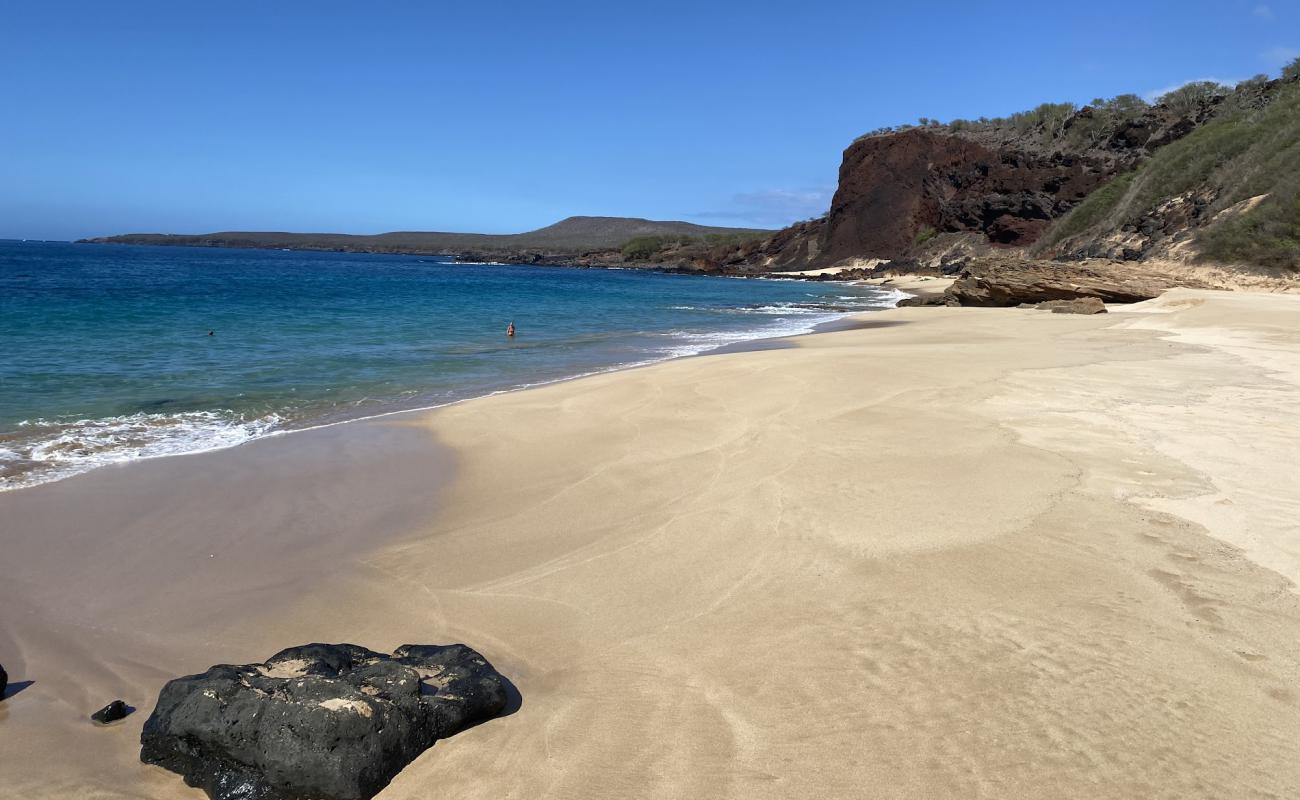 Make Horse beach'in fotoğrafı açık bej kum yüzey ile