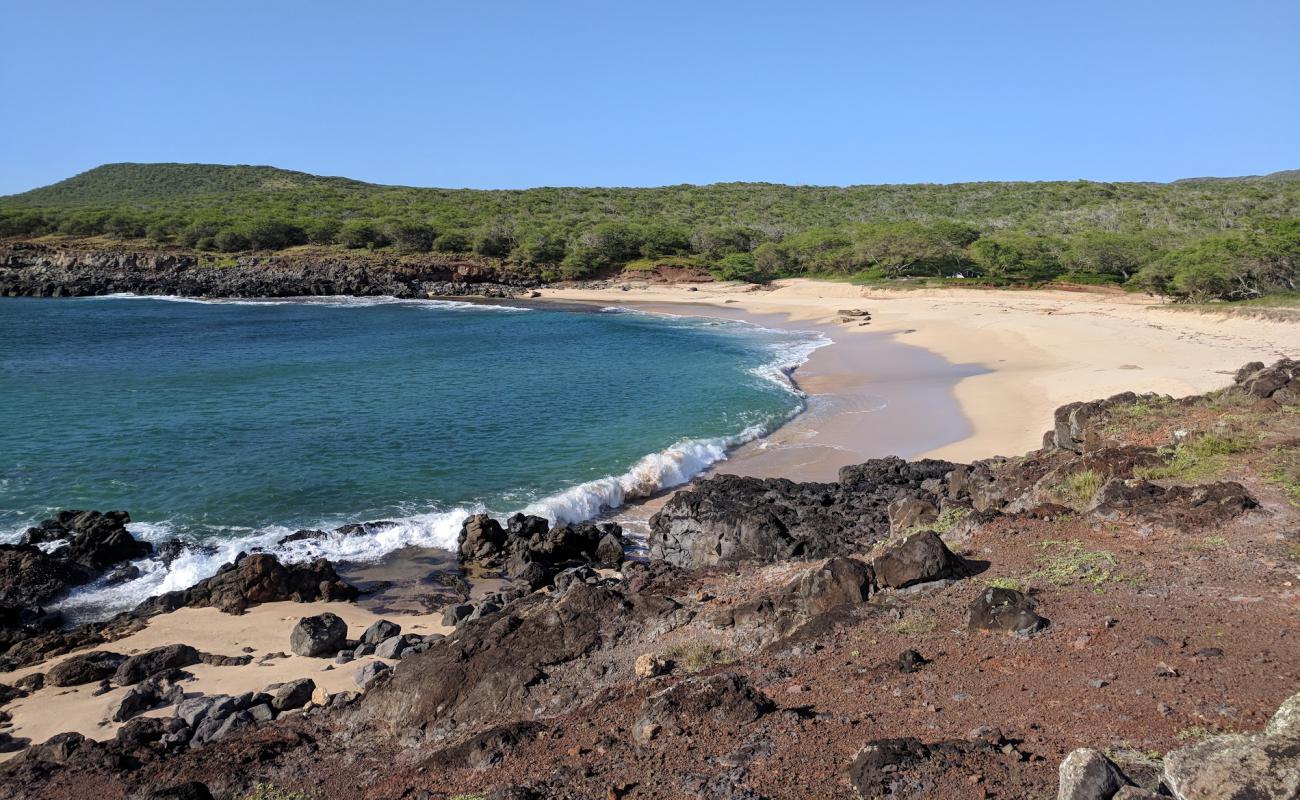 Kawakiu Beach'in fotoğrafı açık bej kum yüzey ile