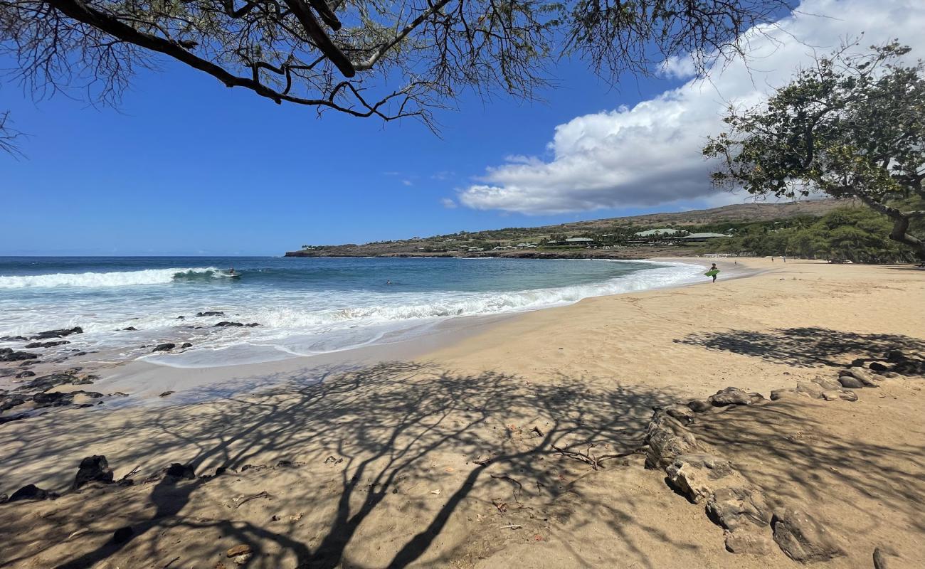 Hulopo'e Beach'in fotoğrafı parlak kum yüzey ile