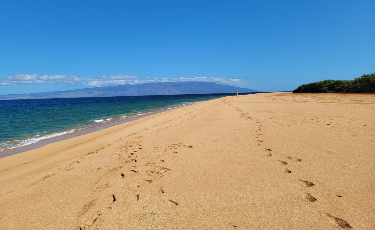 Polihua Beach'in fotoğrafı açık bej kum yüzey ile