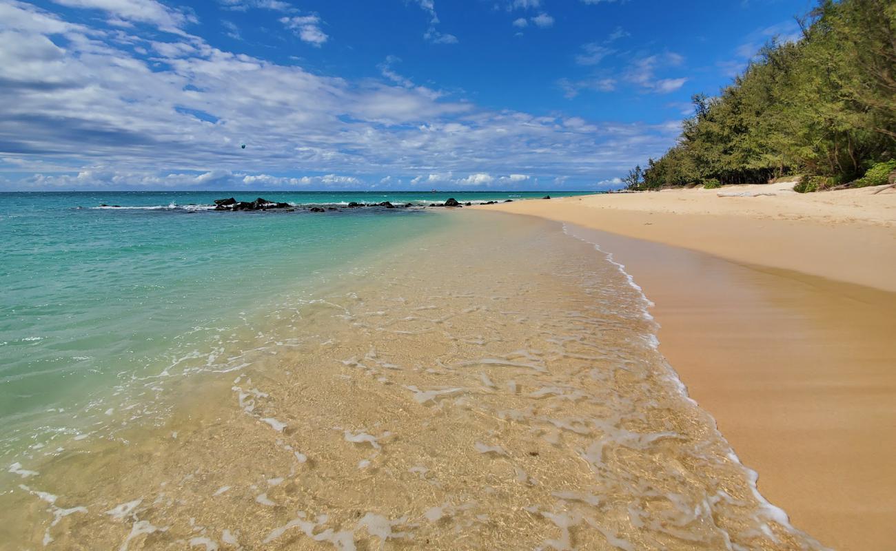 Kanaha Beach'in fotoğrafı parlak kum yüzey ile