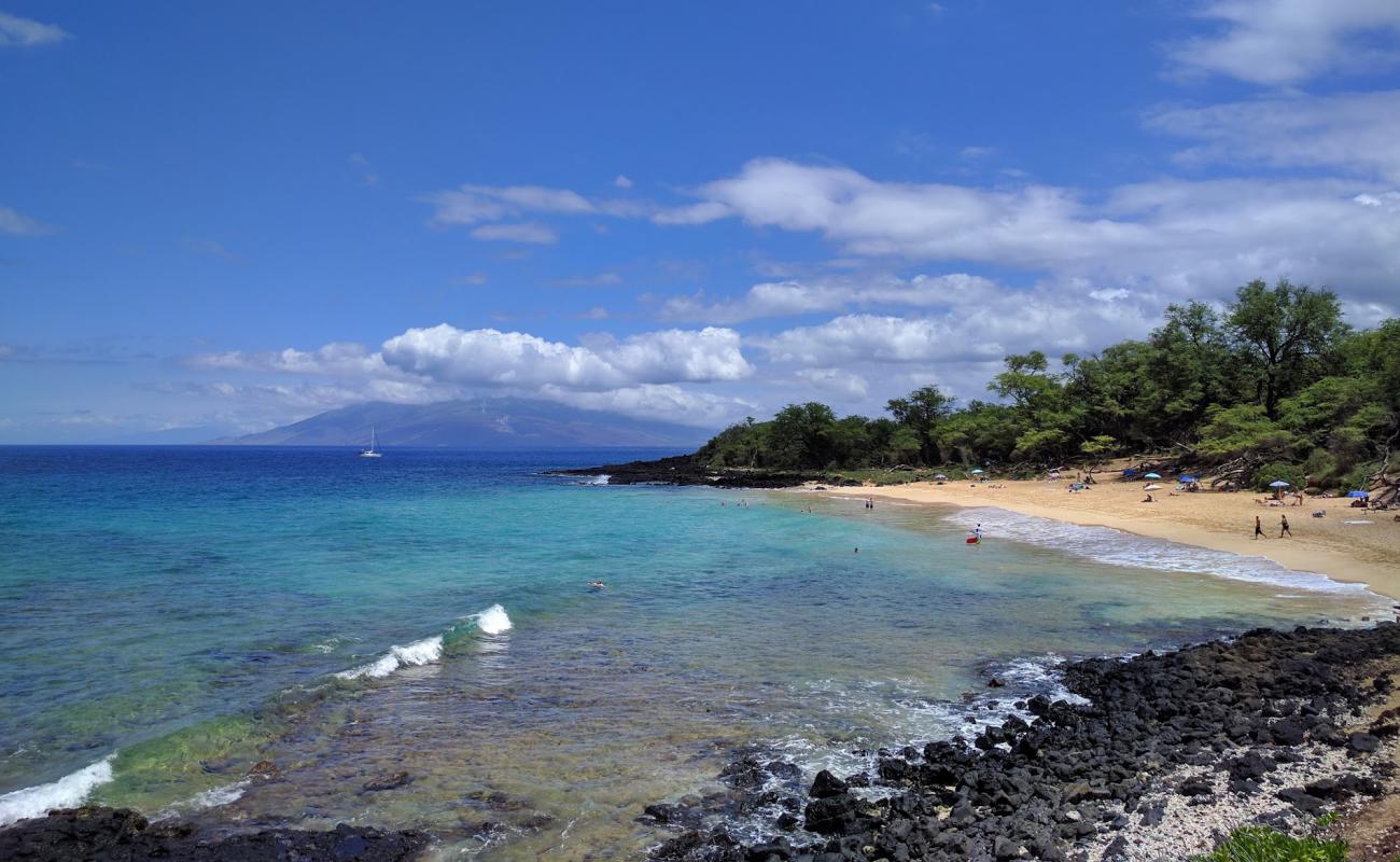 Little Beach'in fotoğrafı parlak kum yüzey ile