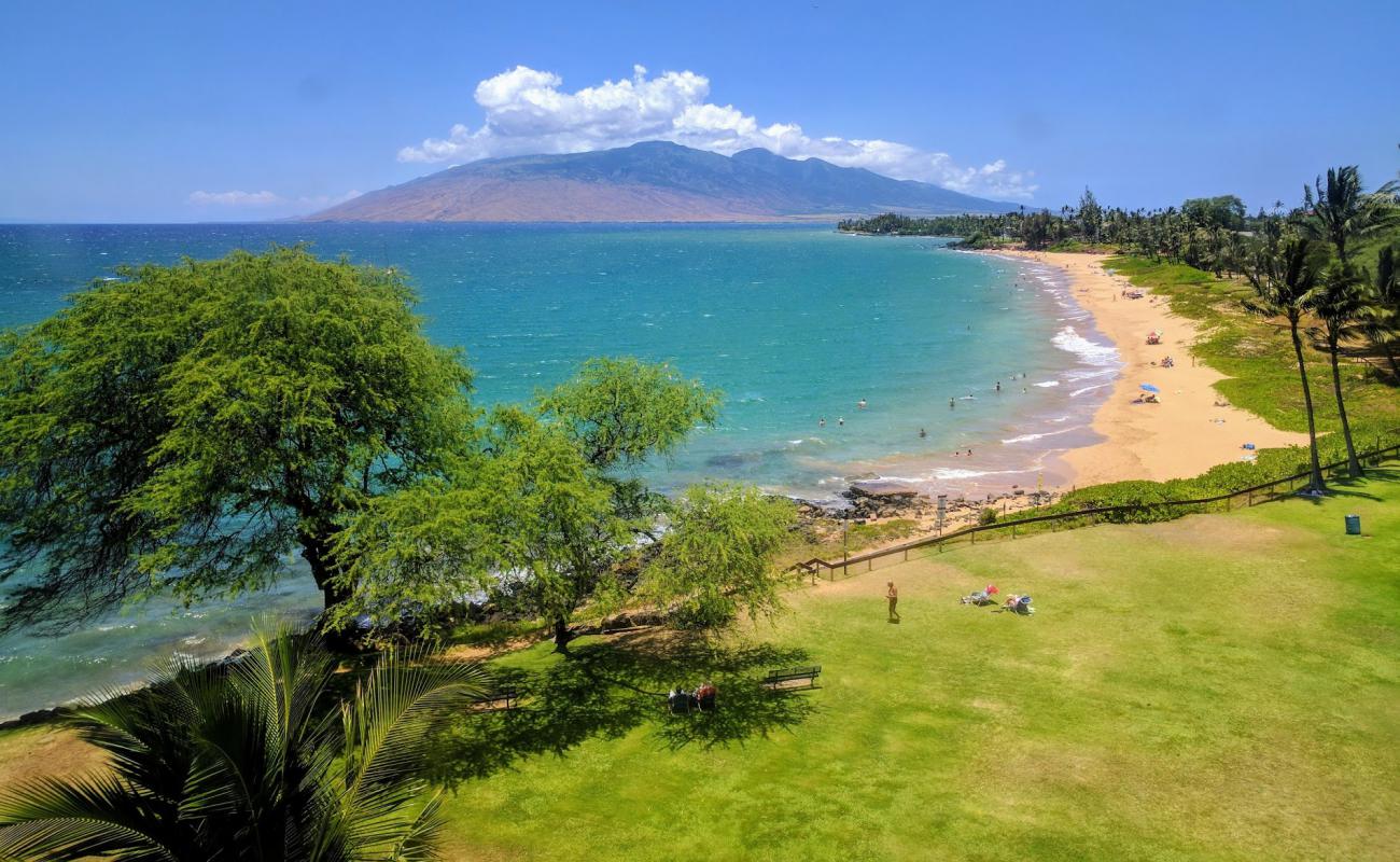 Kamaole Beach Park I'in fotoğrafı i̇nce bej kum yüzey ile