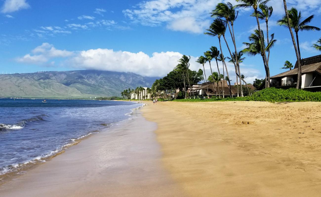 Jpcutsem beach'in fotoğrafı açık bej kum yüzey ile