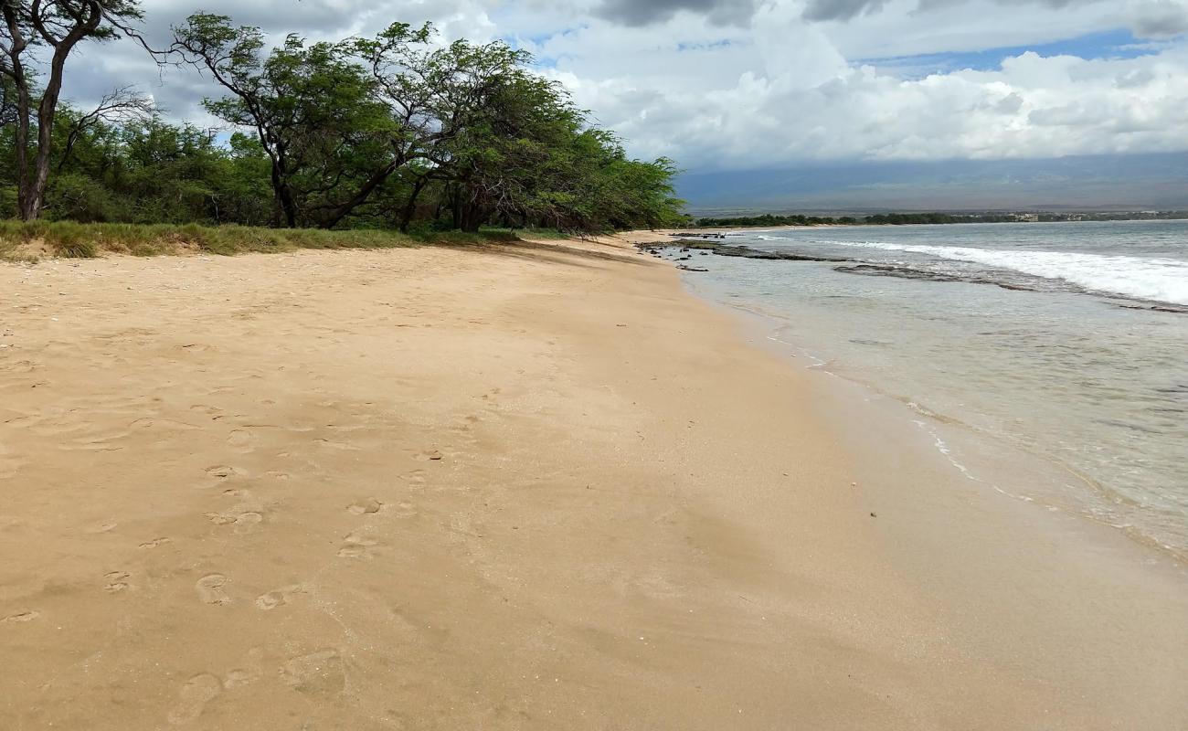 Maalaea Beach'in fotoğrafı parlak kum yüzey ile