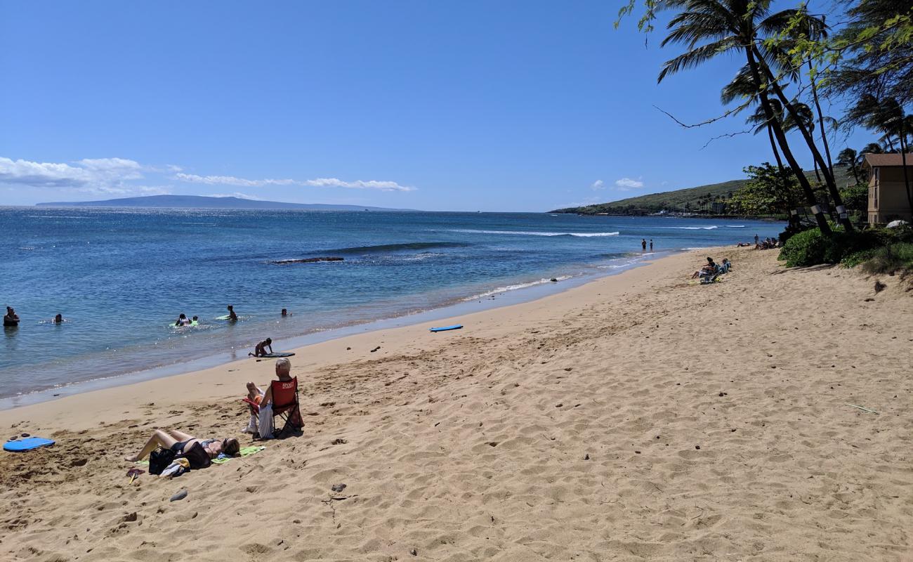 Coast Guard Beach'in fotoğrafı açık bej kum yüzey ile