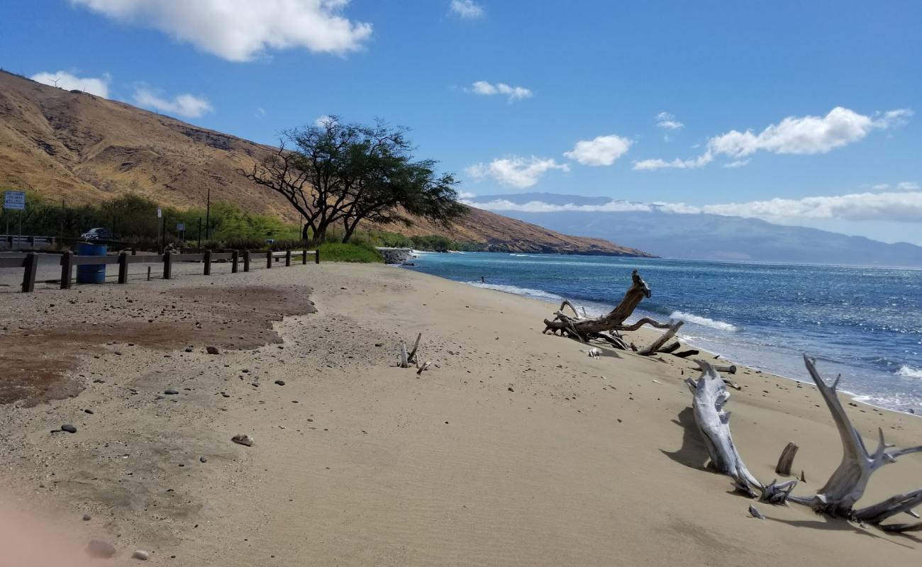 Ukumehame Beach Park'in fotoğrafı açık bej kum yüzey ile