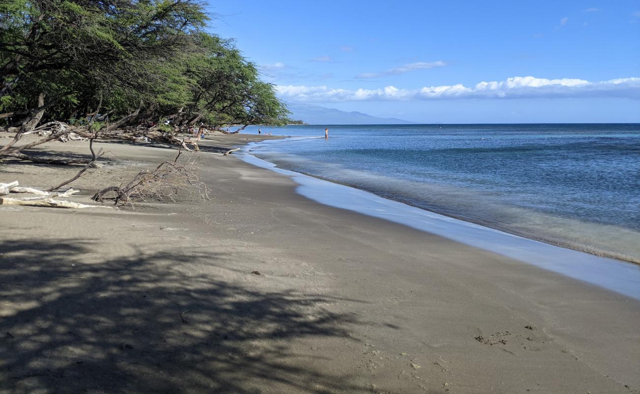 Olowalu Beach'in fotoğrafı parlak kum yüzey ile