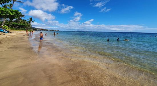 Baby Beach