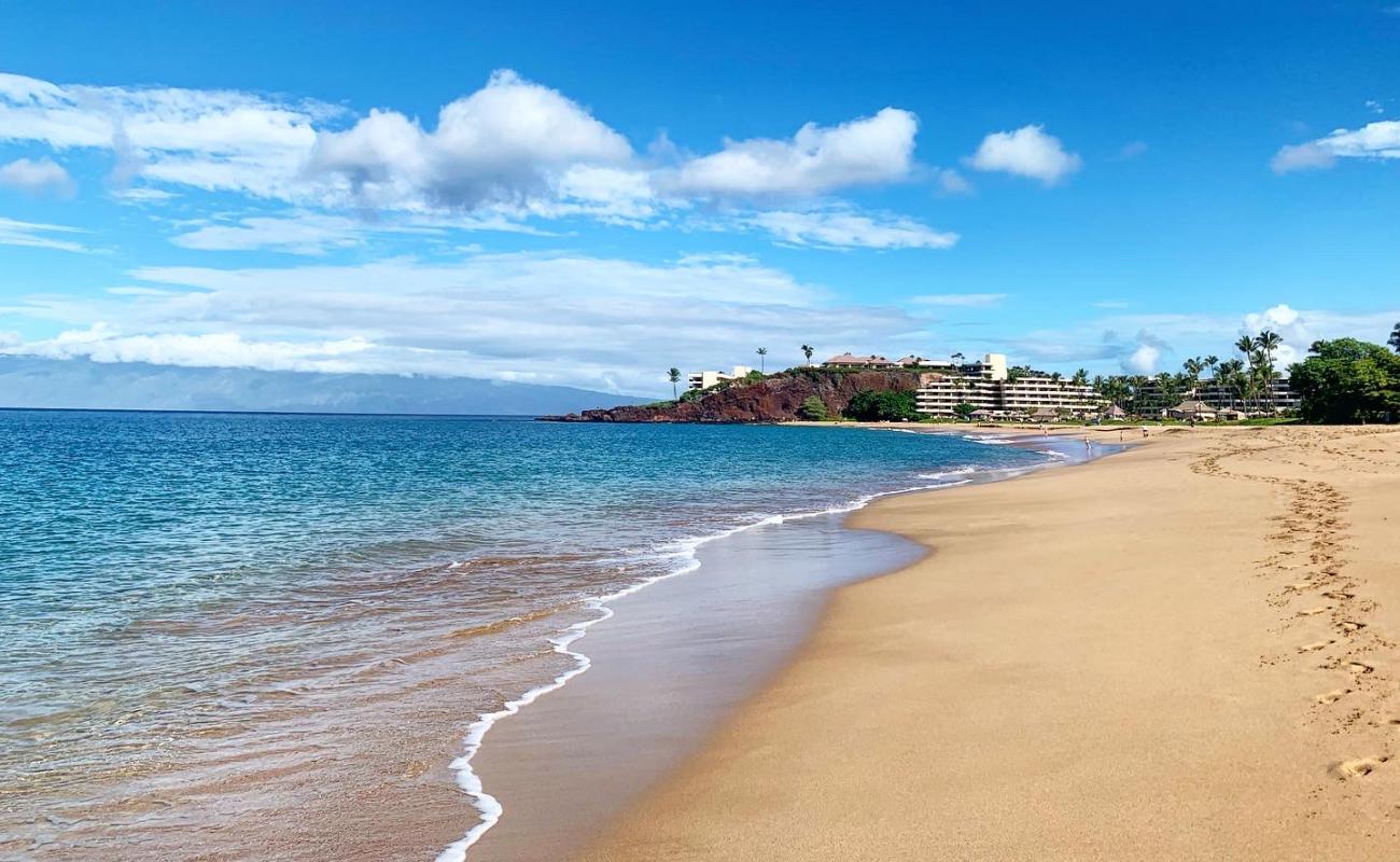 Black Rock Beach'in fotoğrafı parlak ince kum yüzey ile