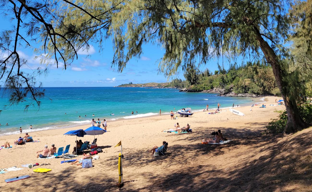 Fleming Beach'in fotoğrafı parlak ince kum yüzey ile