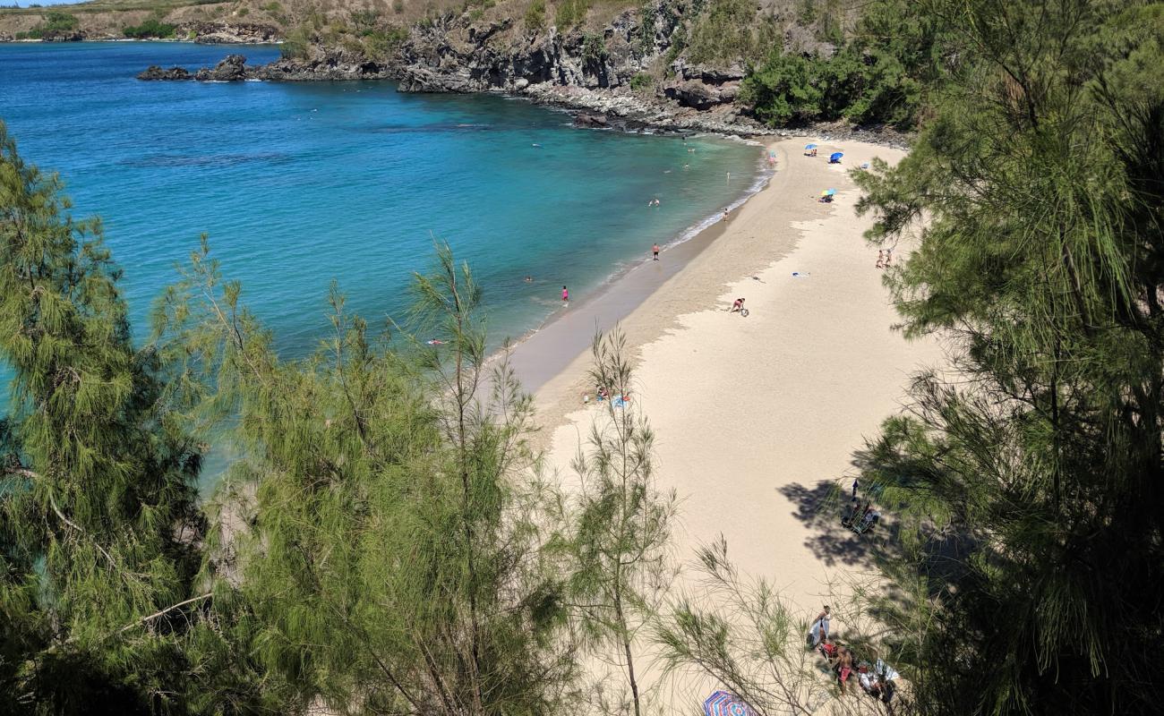 Slaughterhouse Beach'in fotoğrafı parlak kum yüzey ile