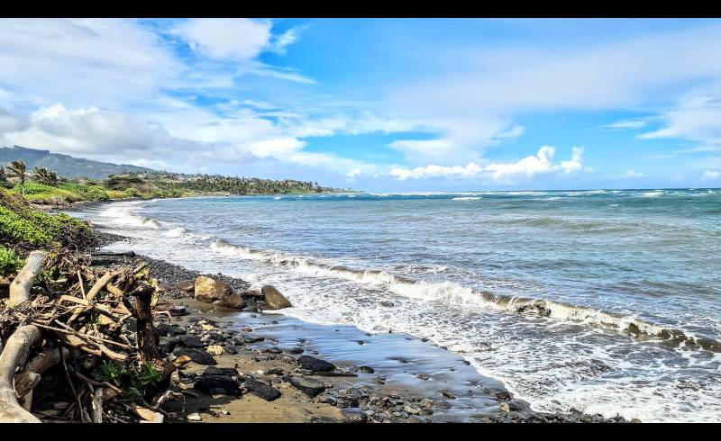 Paukukalo Beach'in fotoğrafı gri çakıl taşı yüzey ile